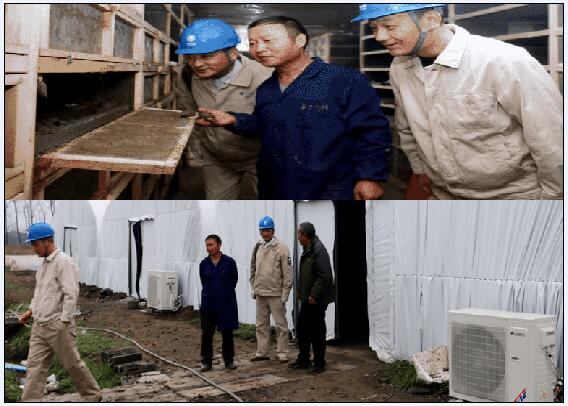 &ldquo;蝸牛媽媽&rdquo;住進(jìn)電氣化保溫棚